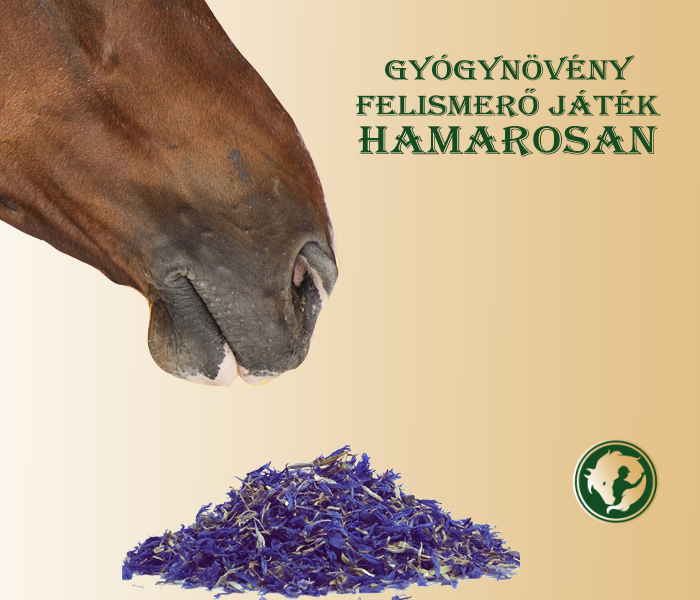 Fereghajtas lovaknal. Féreghajtó gyógynövények lovaknak | Erdédunamaraton.hu