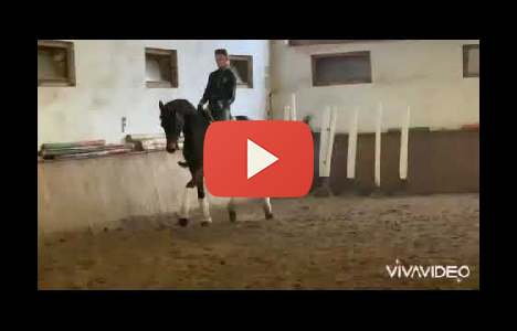 19 �ves  - Lovasok.hu