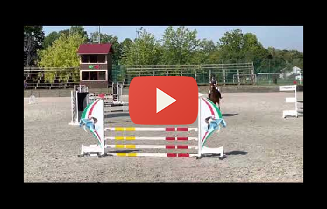 15 �ves  - Lovasok.hu