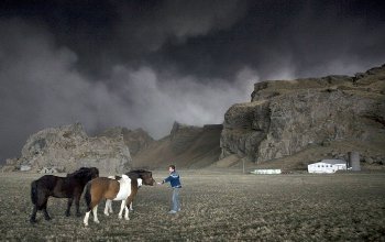A lovaknak is árt a vulkáni hamu