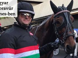 Magyar hajtó nevét jegyzik a francia ügetőn