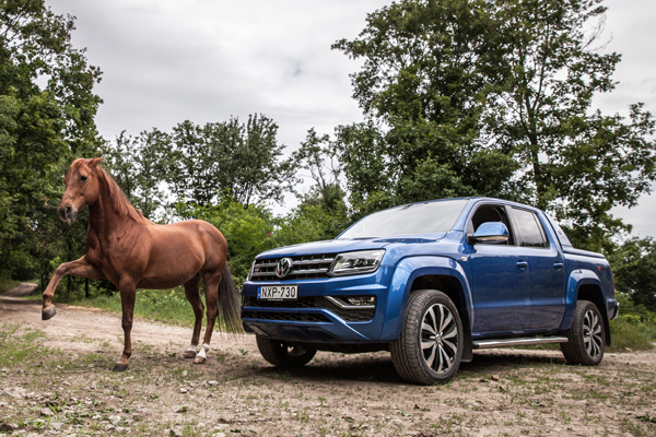 Még 18 képünk van Török Györgyről, lovairól és a Volkswagen Amarokról. Kattints a képre a galéria megtekintéséhez.