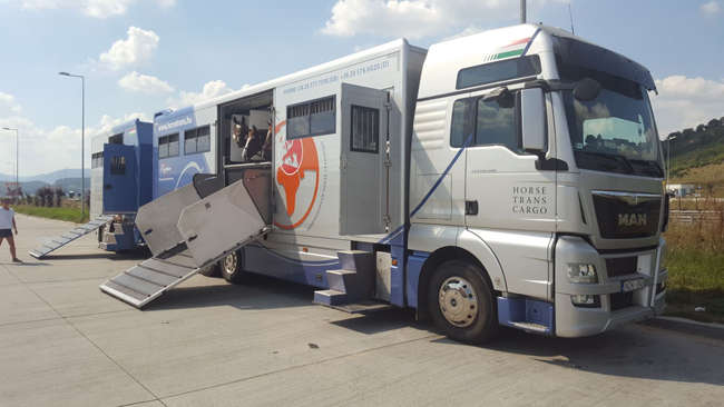 Érdekel, hogy utaznak a lovak a Horse Trans Cargo-nál? Kattints a képre a galéria megtekintéséhez.