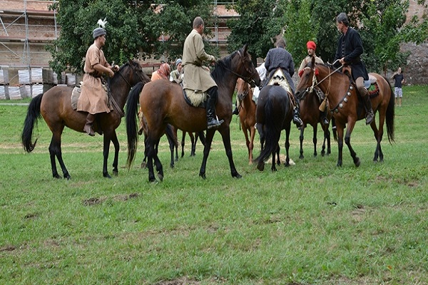 Szigetvári ostromnapok