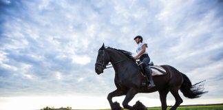 5 tény, amitől a lovaglás természetkedvelővé tesz