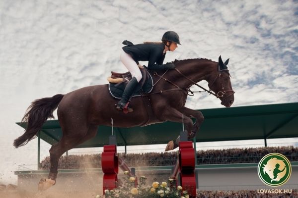 Olimpiai érmesek a NOB-elnöktől várnak segítséget az öttusalovaglás megmentéséhez