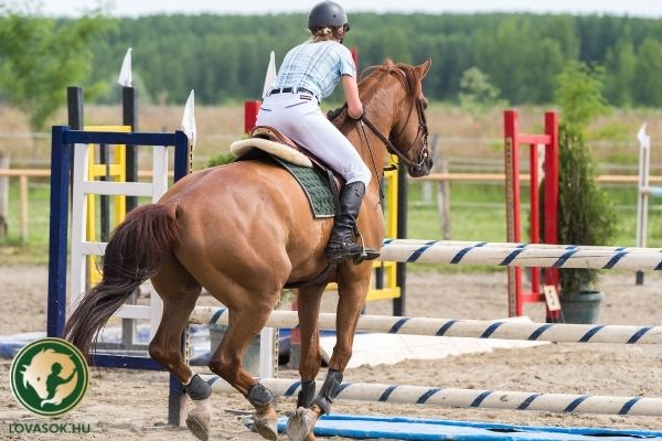 Öttusakapitány: megterhelő az új versenyforma, van még tanulni való