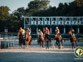 Lovassportolók számára ingyenes a belépés a 100. Magyar Derbyre
