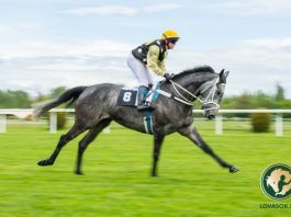 Quelindo nyerte a 93. Magyar Derbyt