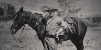 A ló és az ember kapcsolata