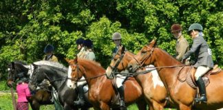 A lovaglás nem csak a fiatalok sportja