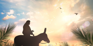 Benedek Elek – A ló és a szamár