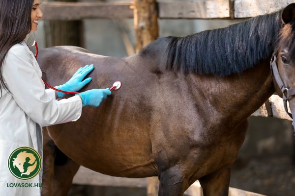 Erekció növelés 2 egyszerű lépésben a keményebb erekcióért
