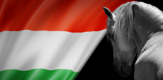 “Lovam hátán, nyergem ölében” – megszületett a várva várt Nyeregszemle-dal