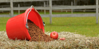 Automatikus tartás kontroll lovakhoz