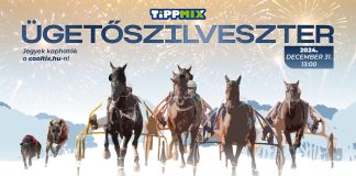 Játssz Te is velünk a nyereményjátékban és nyerj belépőjegyet a 2024-es Ügetőszilveszterre!