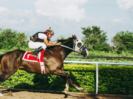 Miért válik egyre népszerűbbé a mobil online kaszinó verzió a lókedvelők körében?