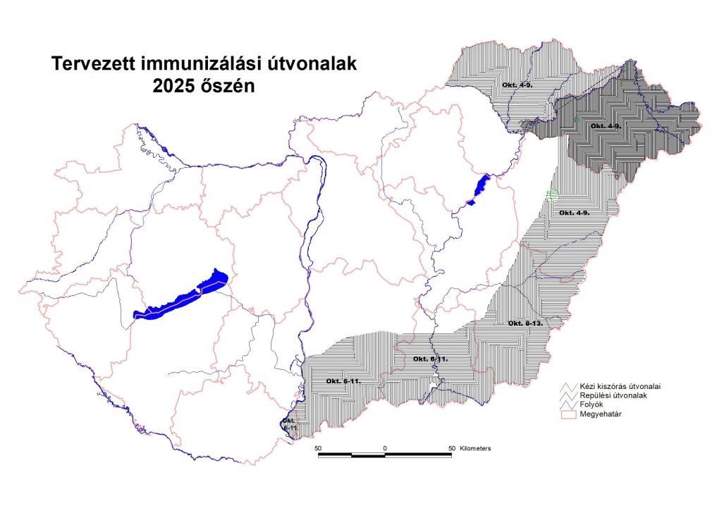 Immuniz%C3%A1l%C3%A1si-%C3%BAtvonalak-%C