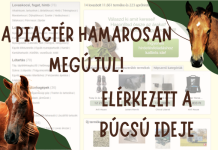 Figyelem! Hamarosan megújul a Lovasok.hu Piactere