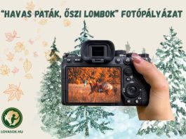 “Havas paták, őszi lombok” fotópályázat! Nevezz be Te is!