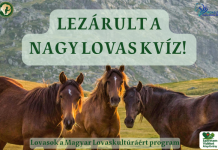 Lezárult a Nagy Lovas Kvíz – Itt vannak a helyes válaszok!