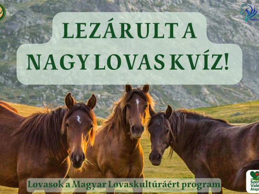 Lezárult a Nagy Lovas Kvíz – Itt vannak a helyes válaszok!