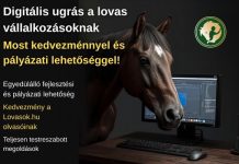 Digitális ugrás a lovas vállalkozásoknak – most kedvezménnyel és pályázati lehetőséggel!