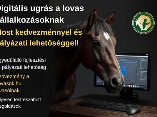 Digitális ugrás a lovas vállalkozásoknak – most kedvezménnyel és pályázati lehetőséggel!