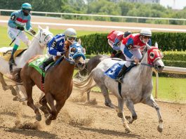 Galoppszezon 2025: a legígéretesebb lovak és a sportfogadás új trendjei Magyarországon