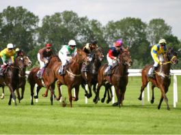 Lóversenyzés Magyarországon: Történelem, pályák, fogadási kultúra