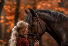 A tökéletes lovas fotó nyomában – Ló-, lovas- és lovassport-fotózás teljes útmutatója