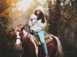 Legelőktől Partnerségekig: Hogyan Formálják a Lovak az Emberi Élményt Casino Online Dudespin Korában