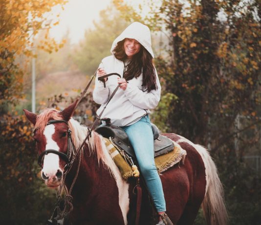 Legelőktől Partnerségekig: Hogyan Formálják a Lovak az Emberi Élményt Casino Online Dudespin Korában