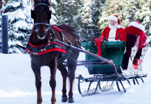 Mikulás lovas szemmel