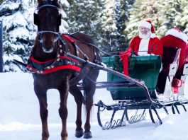 Mikulás lovas szemmel