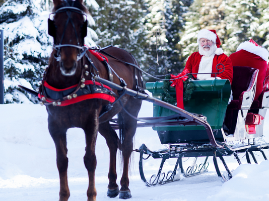 Mikulás lovas szemmel
