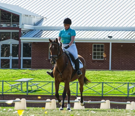 Zöld energia a lovardában – így teheted önellátóvá a lovas tanyádat napelemmel és hőszivattyúval