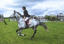 Az 5 legnagyobb lovas esemény 2025-ben Magyarországon