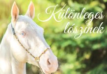 Különleges lószínek és azok biológiája
