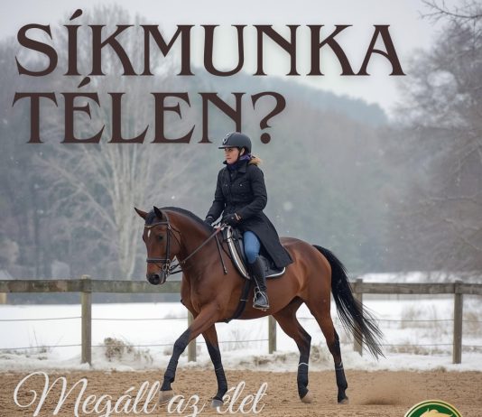 Síkmunka fedeles nélkül a hidegben