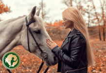 A lovak emlékeznek az emberi arckifejezésekre