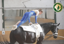 A lovastorna útja a katonáktól a sportolókig