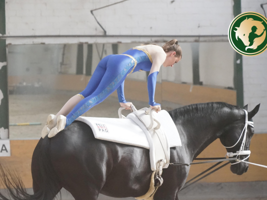 A lovastorna útja a katonáktól a sportolókig