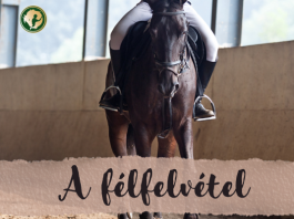 A félfelvétel