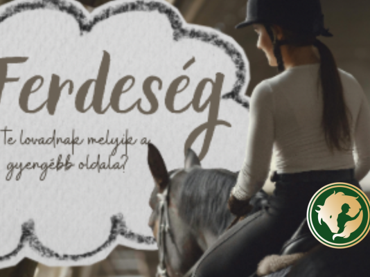 Ha azt hinnéd már nincs min dolgozni – a ferdeség kérdése lovaknál