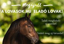 Megújult a Lovasok.hu Eladó Lovak platformja!