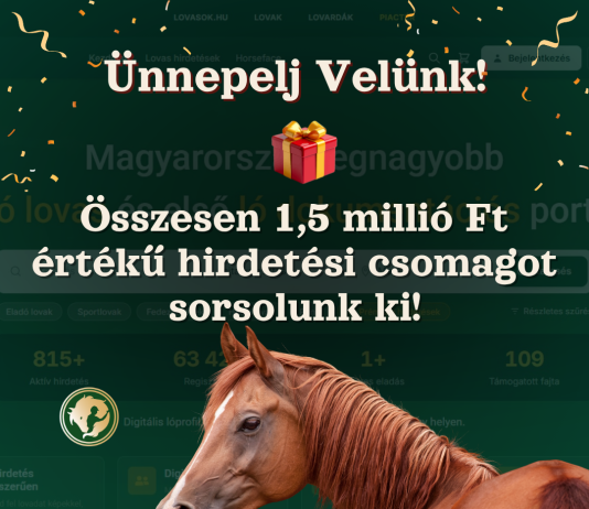 Ünnepelj velünk: próbáld ki a HorseFace-t és nyerj akár félmillió Ft értékű hirdetési csomagot!