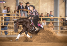 Ismét történelmi pillanathoz ért a pátkai Horog Horses a 20. Austrian Reining Futurity-n!