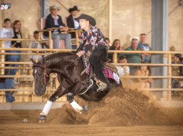 Ismét történelmi pillanathoz ért a pátkai Horog Horses a 20. Austrian Reining Futurity-n!