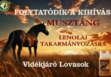Tartsatok velünk a folytatásban is, Vidékjáró Lovasok!